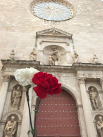 La flor de clavell i el ball dels Cercolets de Valls